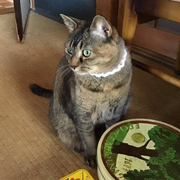 C6638eb9 b29f 4a60 8f37 90c90d27b2ac 1745741064322