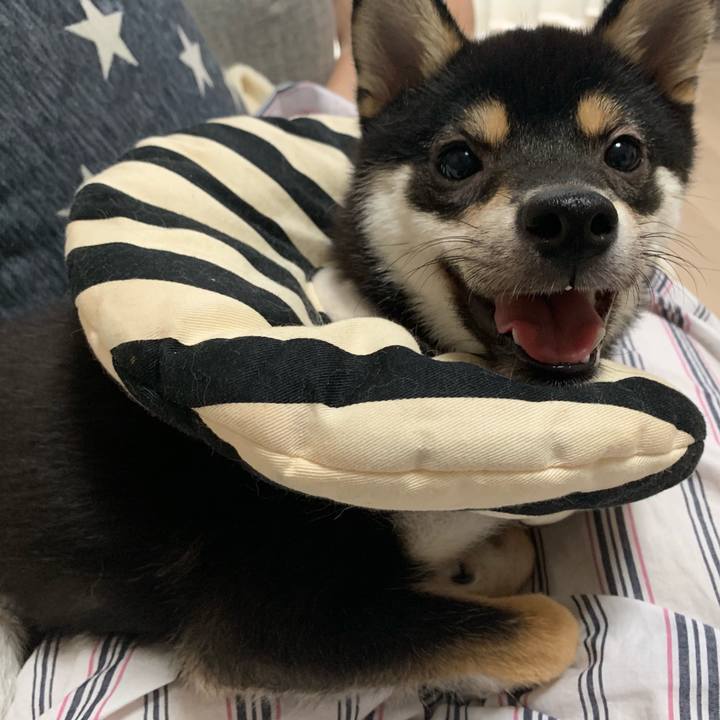 C663af86 c204 4213 9b55 254ee16e59b8 1563079368613