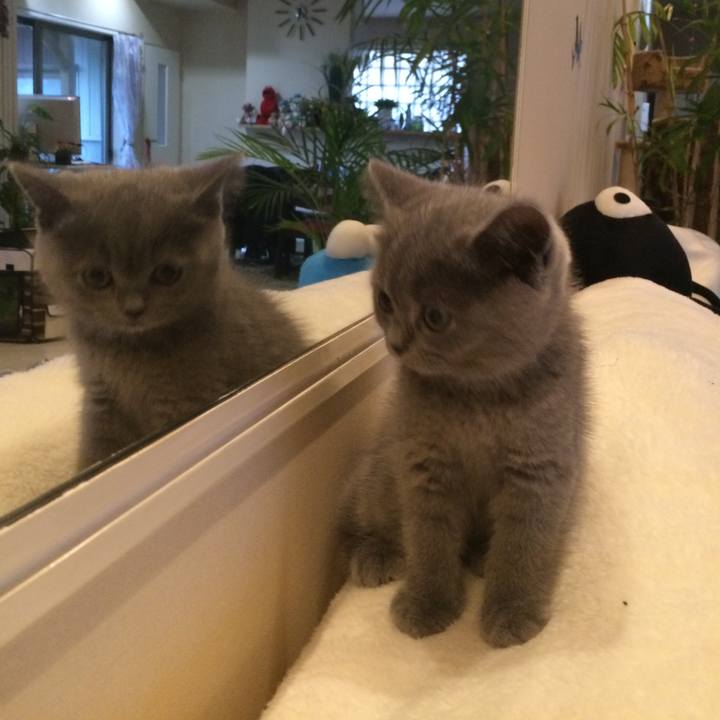 C663da2b d552 4778 be2f 7c31a50cb3c8 1627558370991