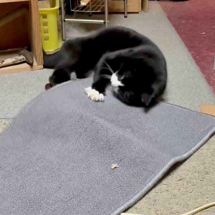 C663f620 a996 43a2 a6fe 590a017ea7a6 1764331711130