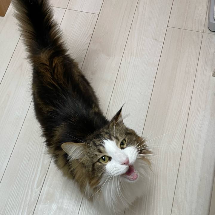 C663fae7 e888 4b62 8593 1e204b1b9b00 1671913665932