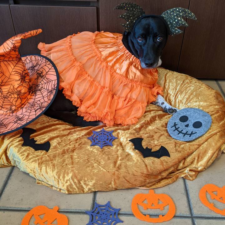 C6640270 0ac5 4aad 8f21 18807d5e7224 1635641600230