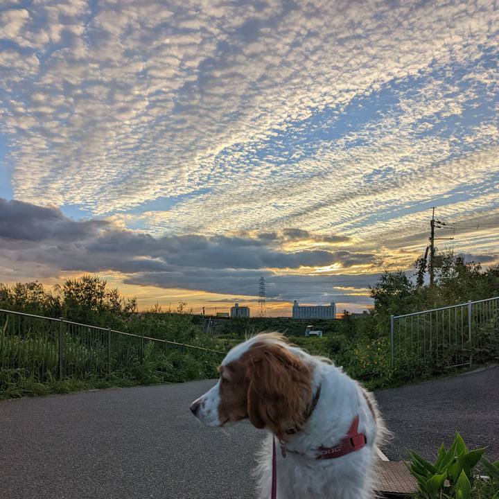 C6643d49 1058 4ddf bcda 2d4558040b27 1665478270435