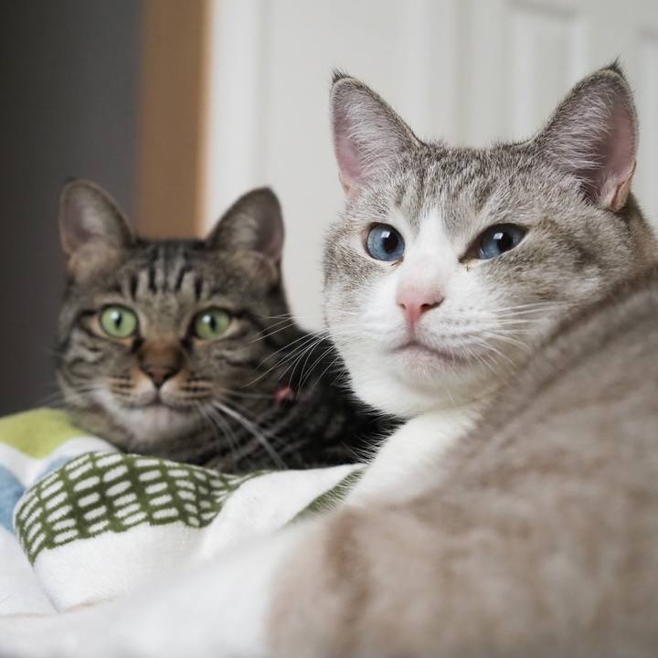 C664503f 09a2 4baf bb22 6e24241e8490 1600577503395