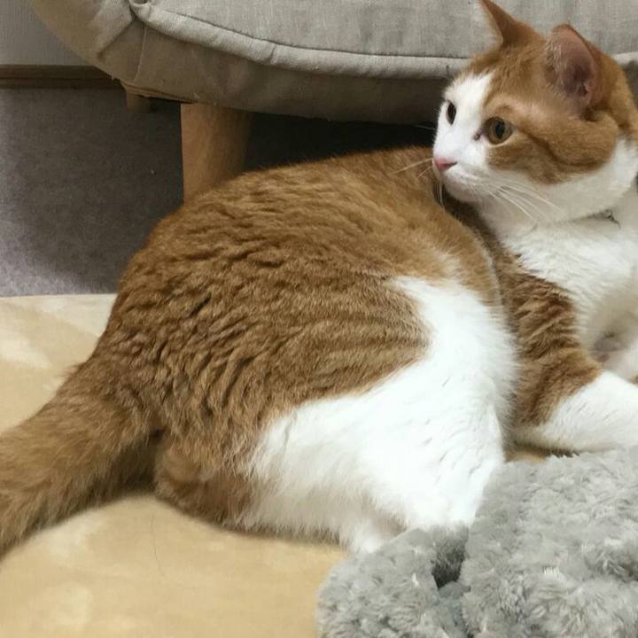 C664bcd8 240b 4f10 9404 aed84d0c0b5d 1513990353259