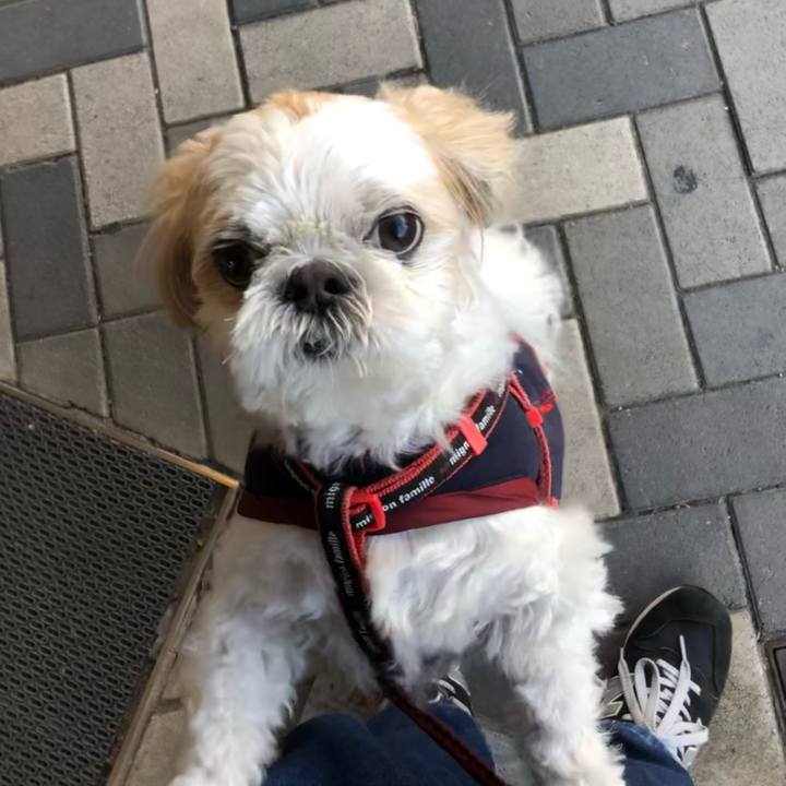 C664c0f2 5b39 4f42 9ae3 db527a714b9f 1606255362037