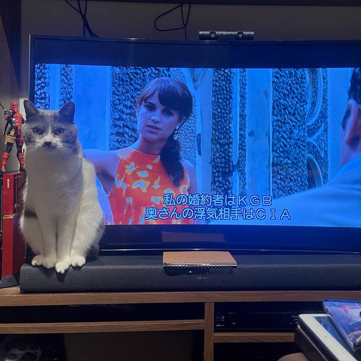 C664fa8a 26d0 4167 848e da0b12cff204 1678961218582