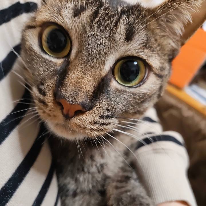 C6651533 547e 4d0a 9f1c 25e209e4ea61 1767600099884