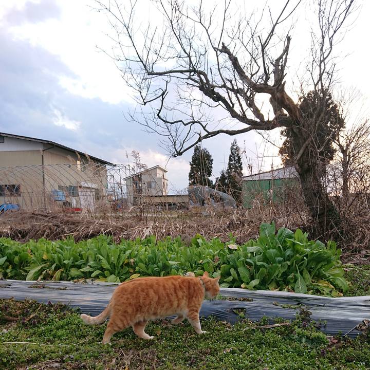 C6656a50 561d 46e7 9dca f391fdcfb88d 1584779639481