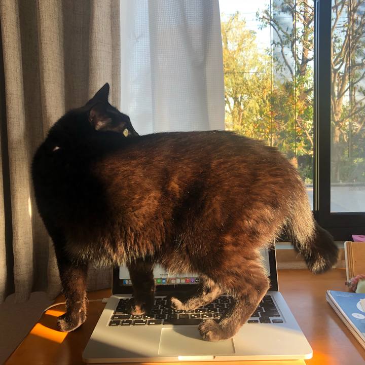 C665b584 4a04 4f6f ad71 c063f5859954 1635585217797