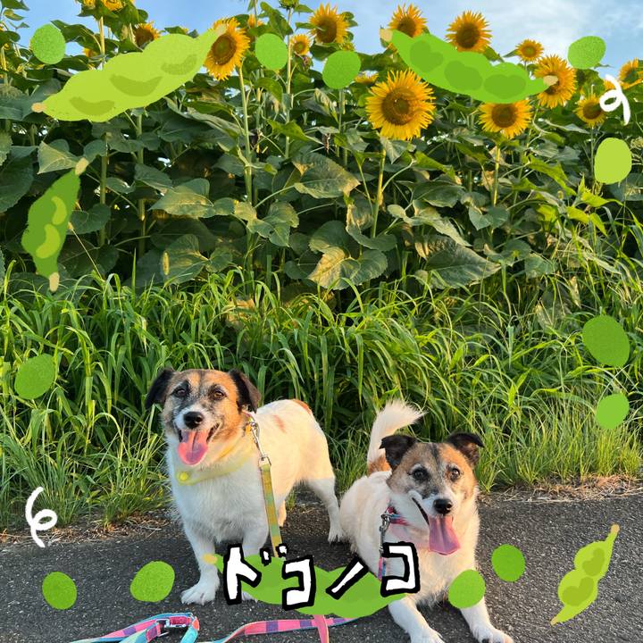 C665d394 8ac3 47d3 9083 9b1433289093 1720776614230