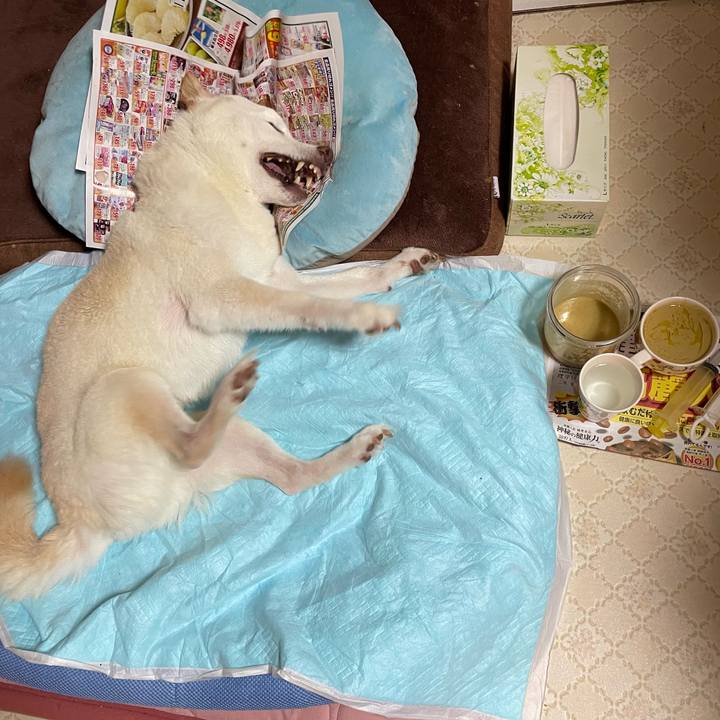 C6660866 bc26 477f 88b1 b728255f6199 1665085392668