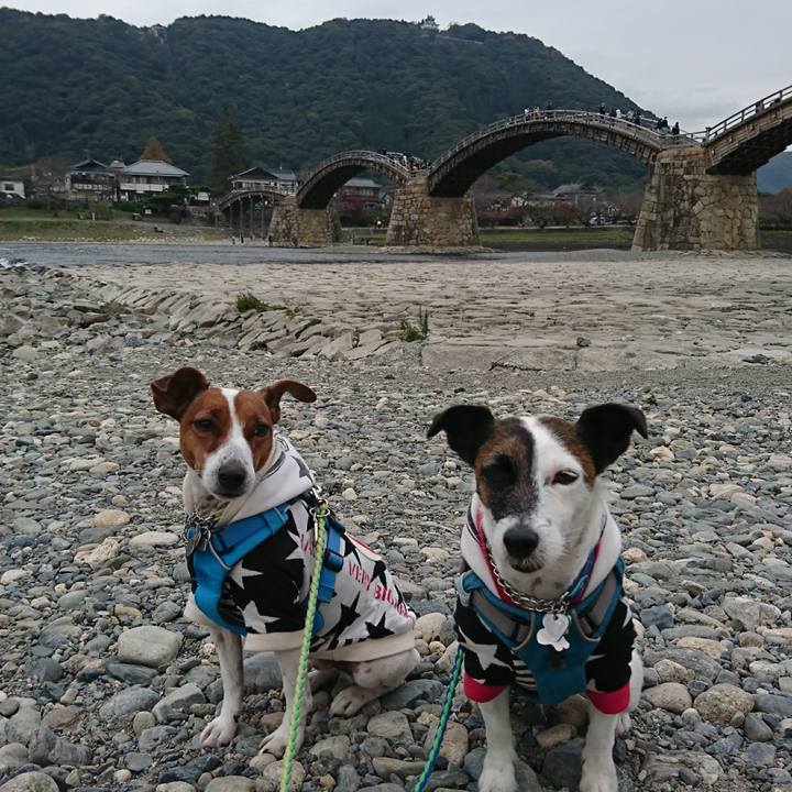 C6662703 38a6 4301 9541 ecf21930e231 1606017032408