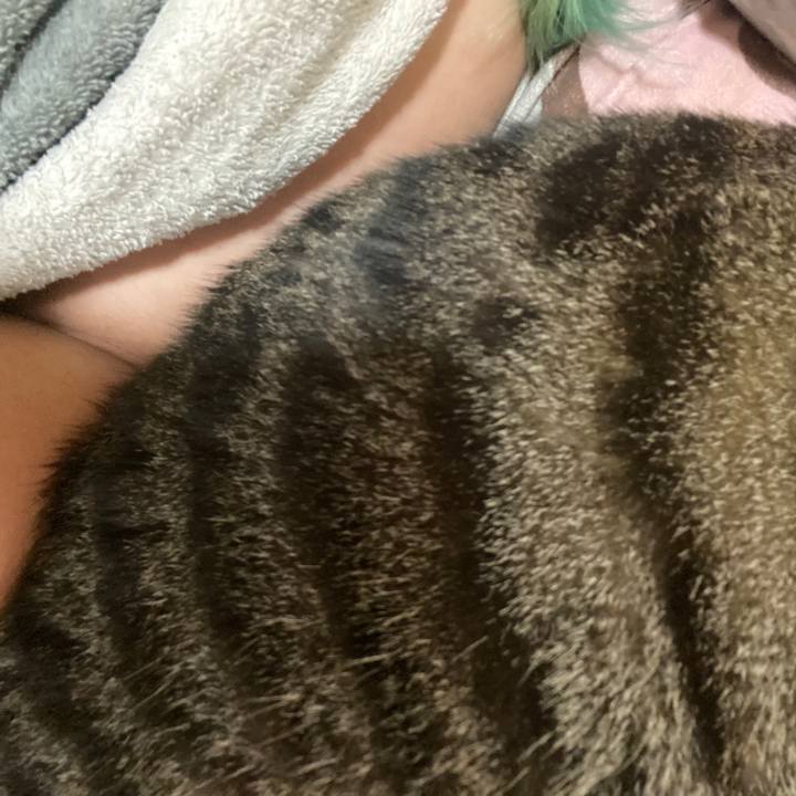 C6662737 020a 44a6 b466 8468192e9b30 1663302530618