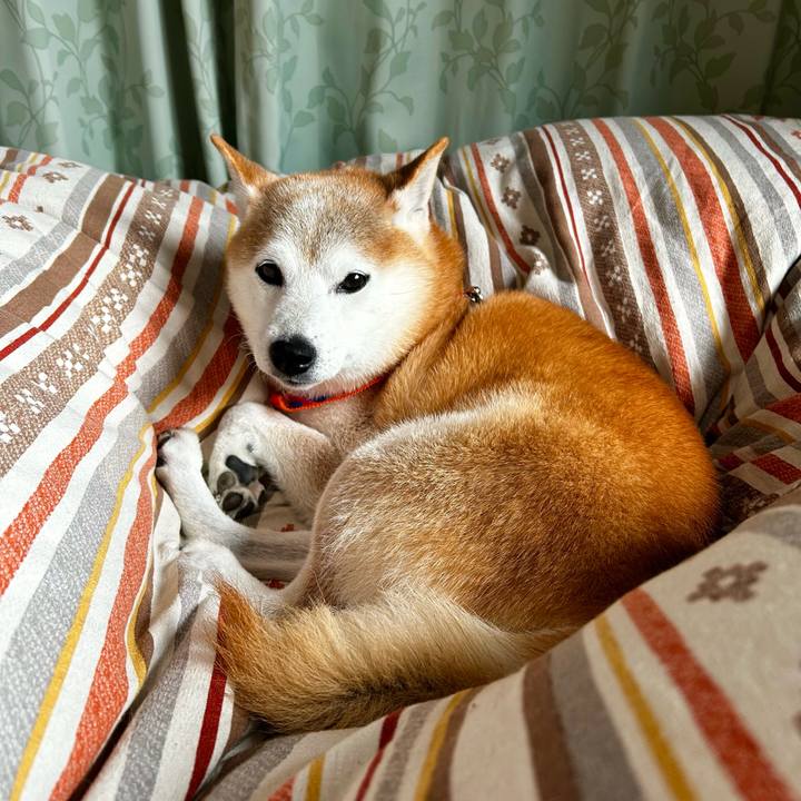 C66628a4 7398 4160 9aac 8c476bebb650 1761390385746