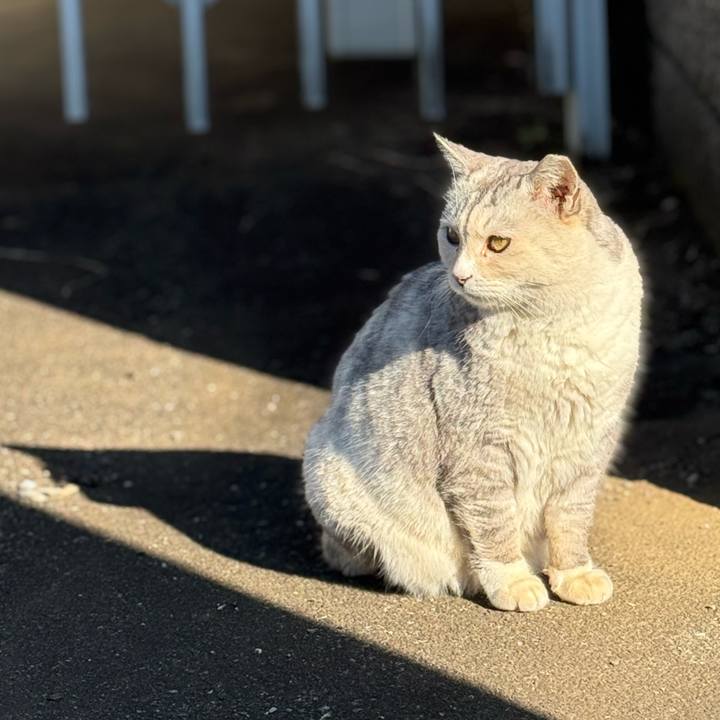 C6662e03 283f 4ac1 a884 3ccabea9c8c8 1765937766413