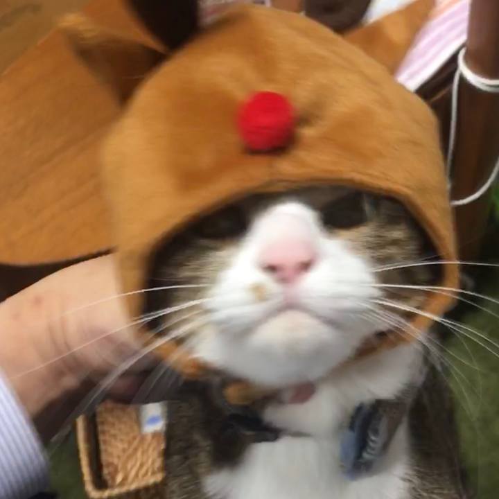 C6663a77 9477 4662 979d 2b8f4395c2db 1702189991999