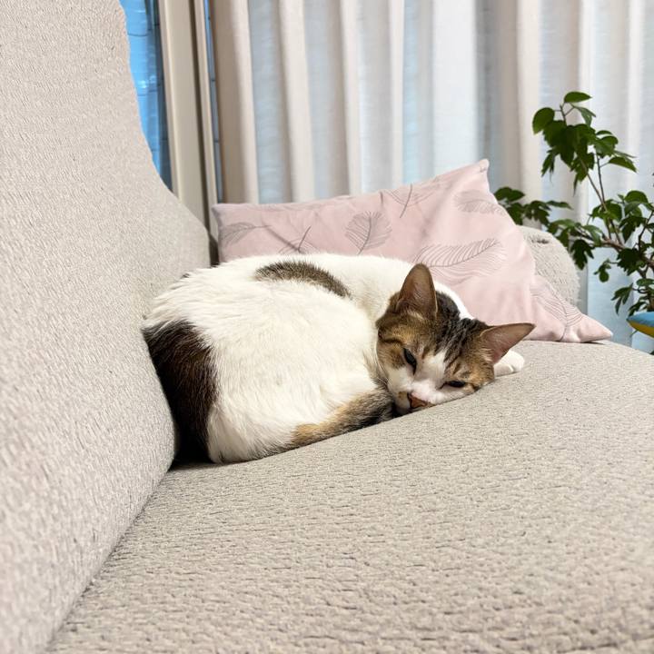 C6663b72 c496 43f8 a134 6582e1df688b 1773266341136