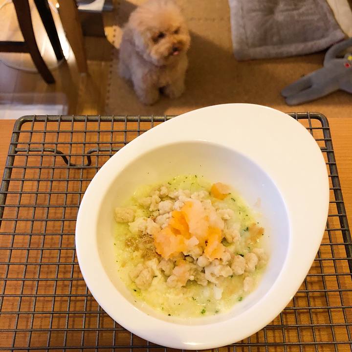 C66672f0 db29 468b 93f8 29fb66be38a5 1522744357159