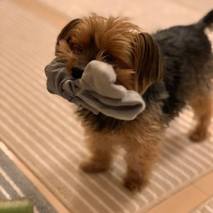 C66680b8 27f0 4327 8419 3fdbbbdddab5 1611135644142