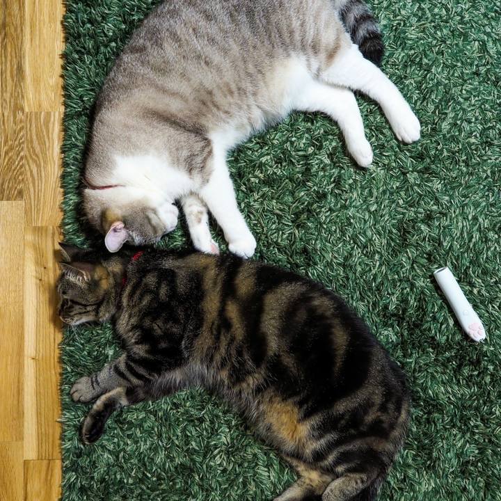 C666cb82 dee6 4ae2 8f6a 1621cc84b24c 1627443113394