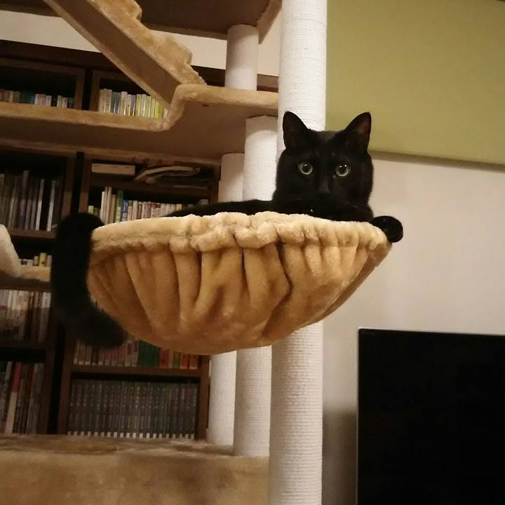 C666e142 c678 412d 91cb 8eda4647fb1f 1552998578828