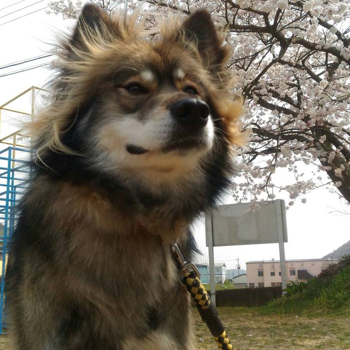 C6672c6d 781a 407a 9a6a 673af745d31e 1554640496142