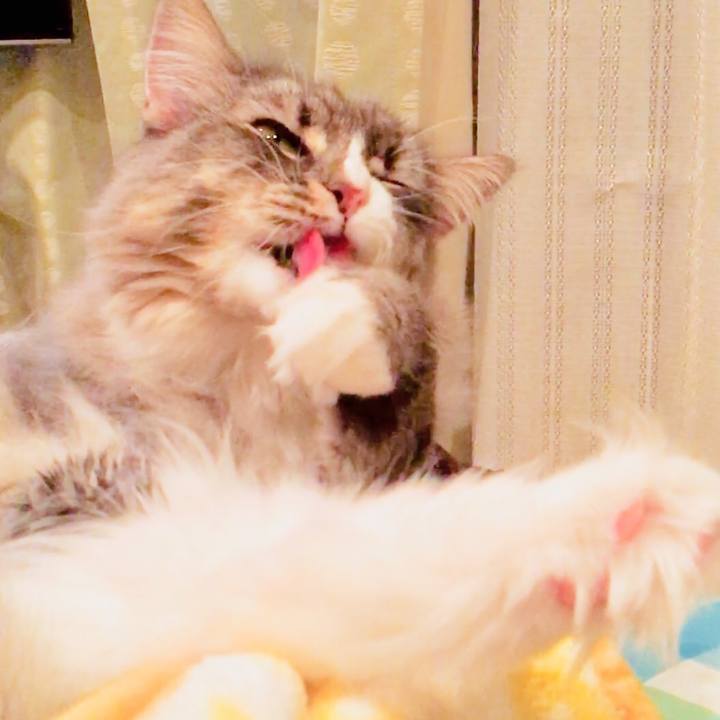 C667306c e5e7 4a67 ab0f 6ddb406321fd 1513188484997