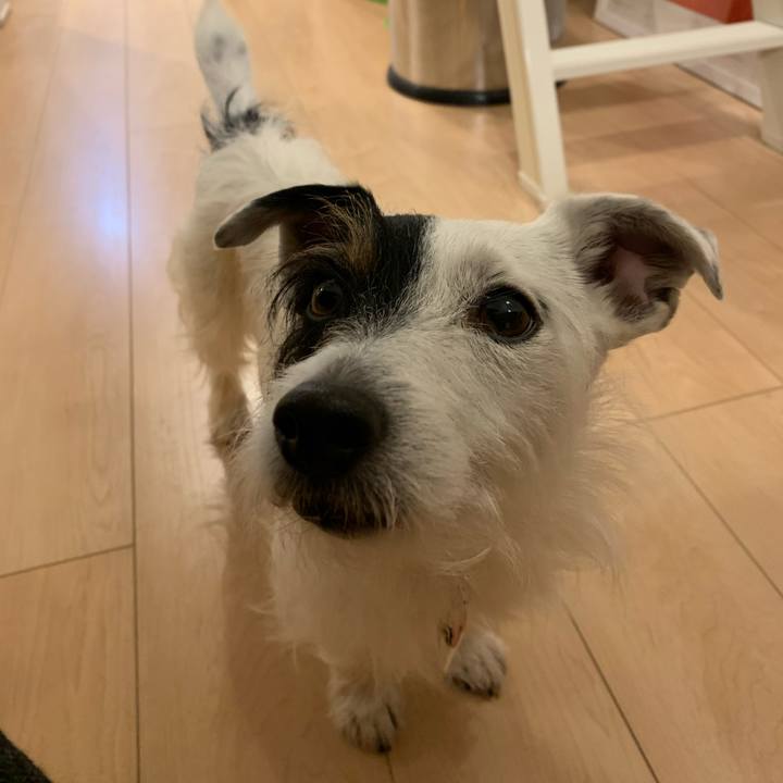 C6674629 c95d 45e2 bbc4 735c1f035f1a 1615026529862