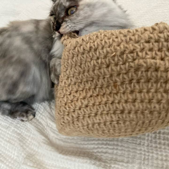 C6676264 3304 460e 9b66 9b6a83d7974b 1756769809784