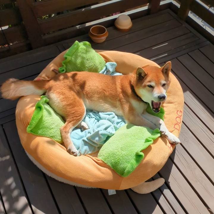 C6679298 1459 4032 a40c 5f0ed4fb8e4a 1742088026282