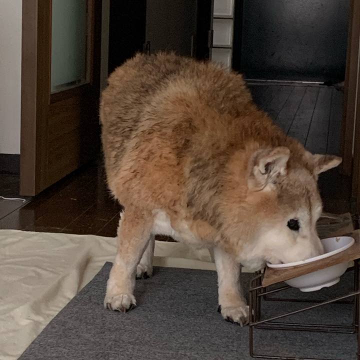 C667a629 1d94 45d3 a0a8 a049848d8008 1683082828359