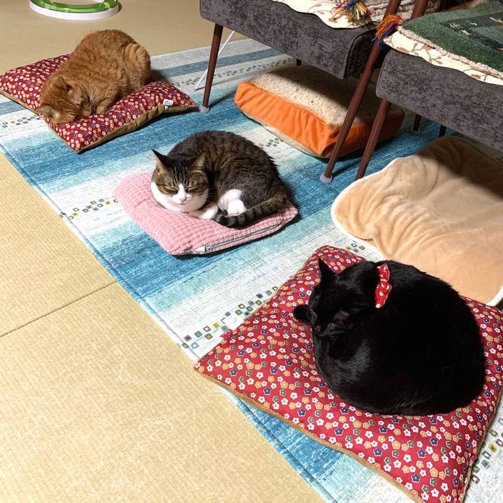 C667b0e2 4474 46ef bfce 55ec3da51867 1589380705839