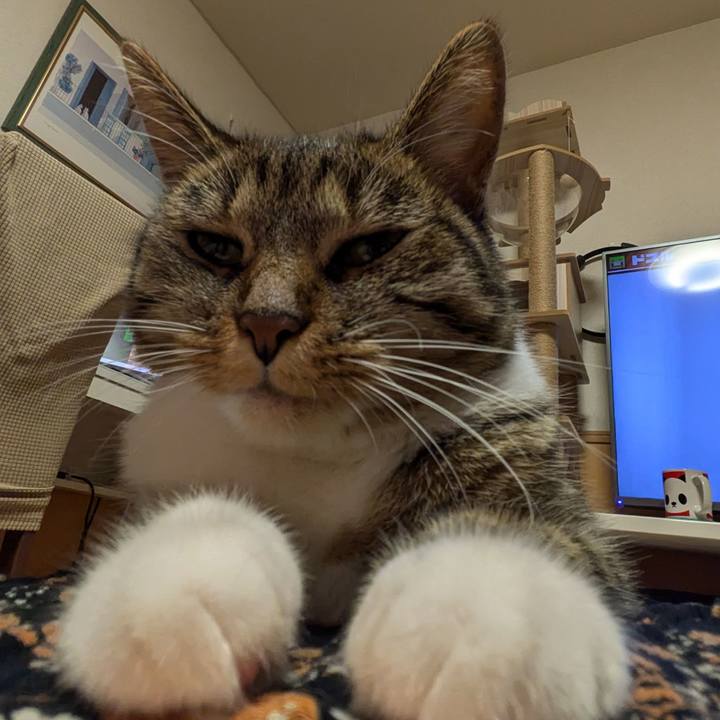 C667dd78 d91a 4f00 a75e 042818703ef7 1723626858381