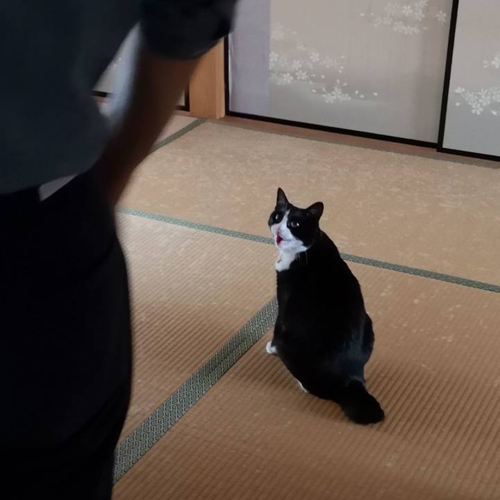 C667dddc 5f5d 4e84 ae53 267107a93e08 1561189336125