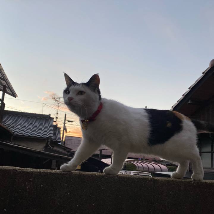 C667f41c 893e 4735 b0e4 cbc9fa6b1173 1638137289621