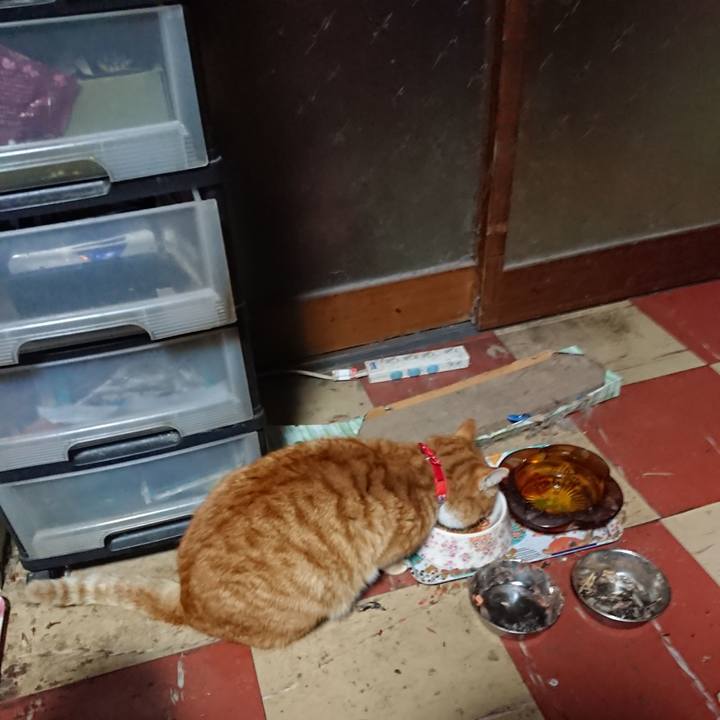 C6680b74 499d 433b af91 daf00f240f75 1578426862482