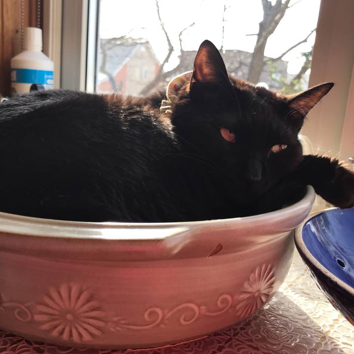 C6682466 633e 41a9 9c50 65a3ad7b26b1 1620510210150