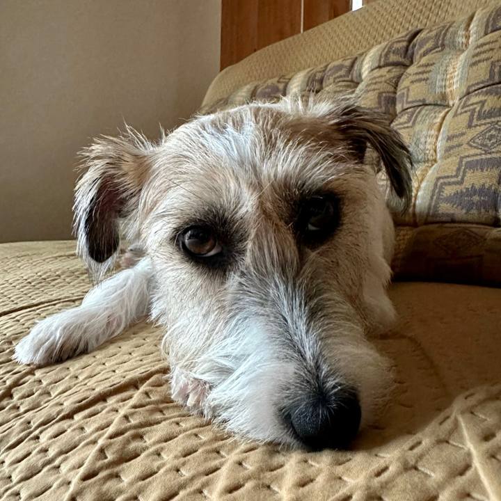 C6686fe4 f83d 4d3b a586 8623347e916f 1695345068689