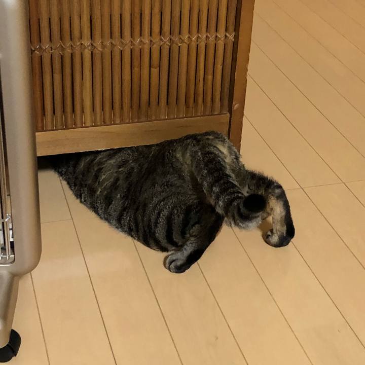 C668d506 000a 4227 bbf4 8cca25b6133d 1517552507966