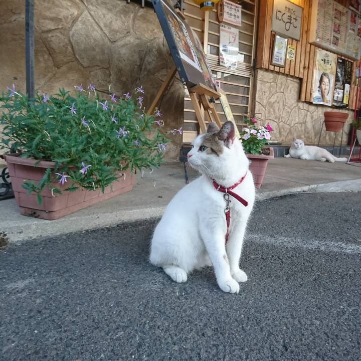 C668efbd d8d0 4c59 bc5d cf31fe08b6a6 1534239546268