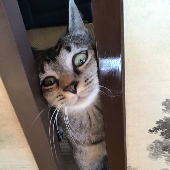 C6691274 e70e 4c86 9967 d49f3f834e5d 1576374619356