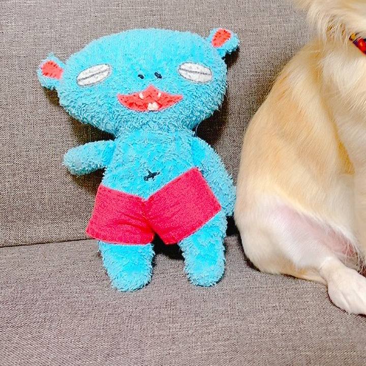 C66922ef 86ad 499b bfcb 5d0a2db8aea5 1635670992172