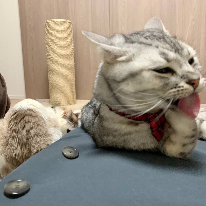 C6692595 03f6 4eeb a082 4023da4f6027 1582709356135