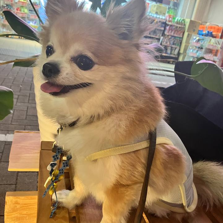 C6693f63 e2ab 4755 8451 f7d6174c3051 1754638408564