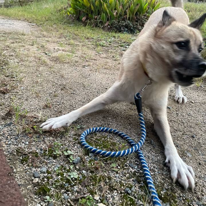 C6694064 ef9e 4b94 b9c3 40de592a75f1 1664454686816