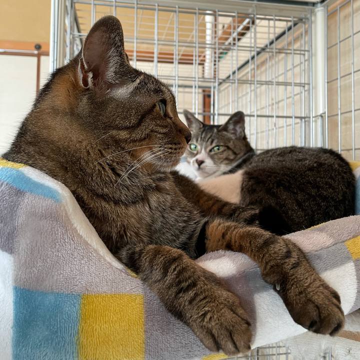 C6694a94 4391 4fbd ae2a 795b3b2c266a 1624154105281