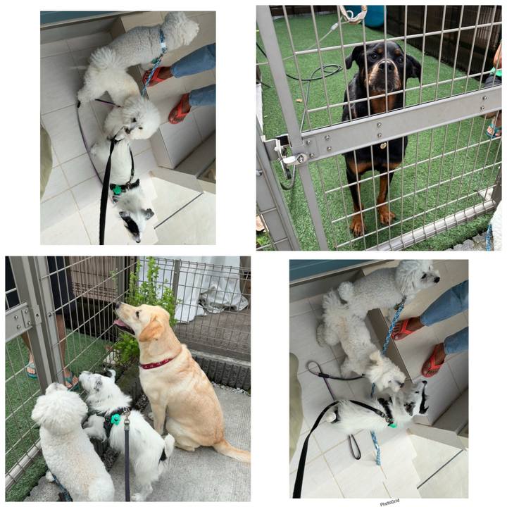 C6696d7e 39a2 4a7b 99d5 0b63dd840d75 1759019049368