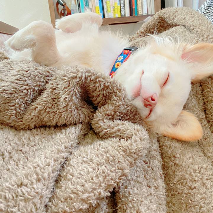 C6697b8c e12c 4037 89d3 39ab8cb26f6a 1640166549495