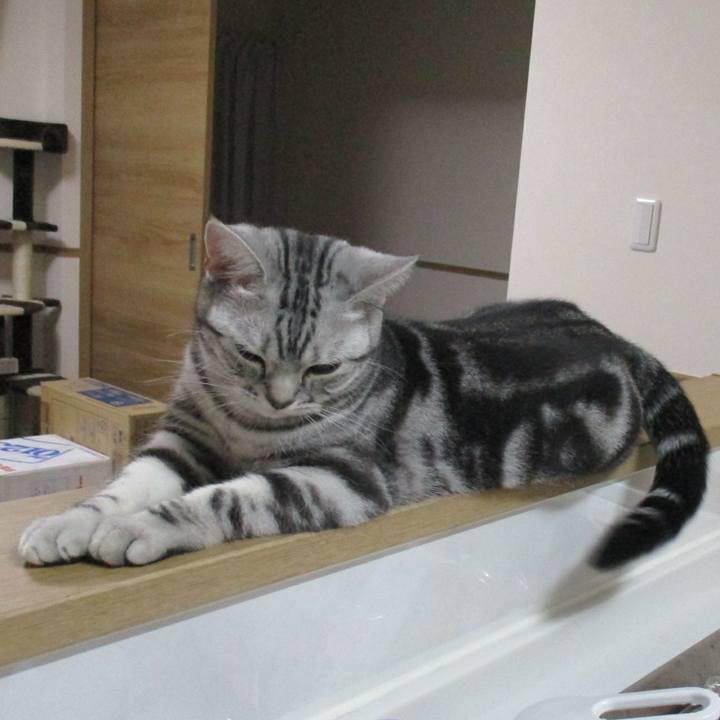 C669a6fe 3cf0 4c8e b45b 3a06ed1777cf 1556366100377